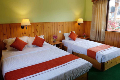 deluxeroom-1